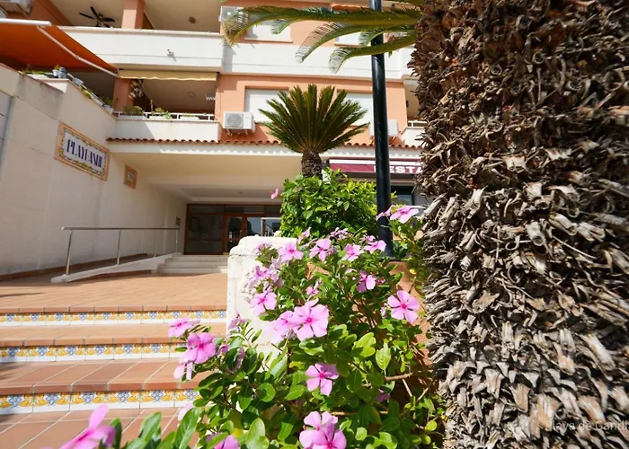 Paradise Solo Familias *